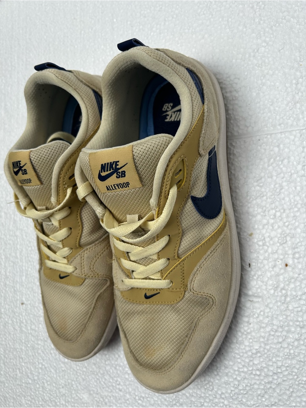 Nike SB Alleyoop Sneakers in Beige